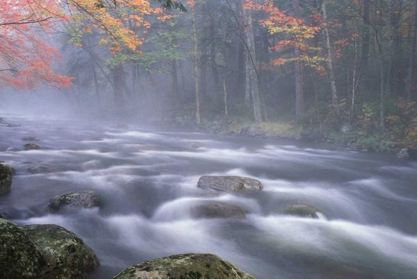 NY, Adirondacks, Big Moose River rapids in Fall